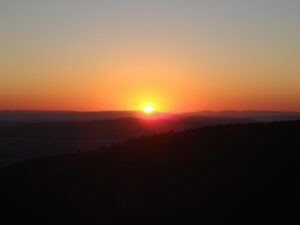 Renewal and new beginnings